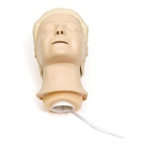 Resusci Anne Complete Head