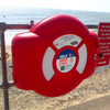 Guardian™ Lifebuoy Fixing